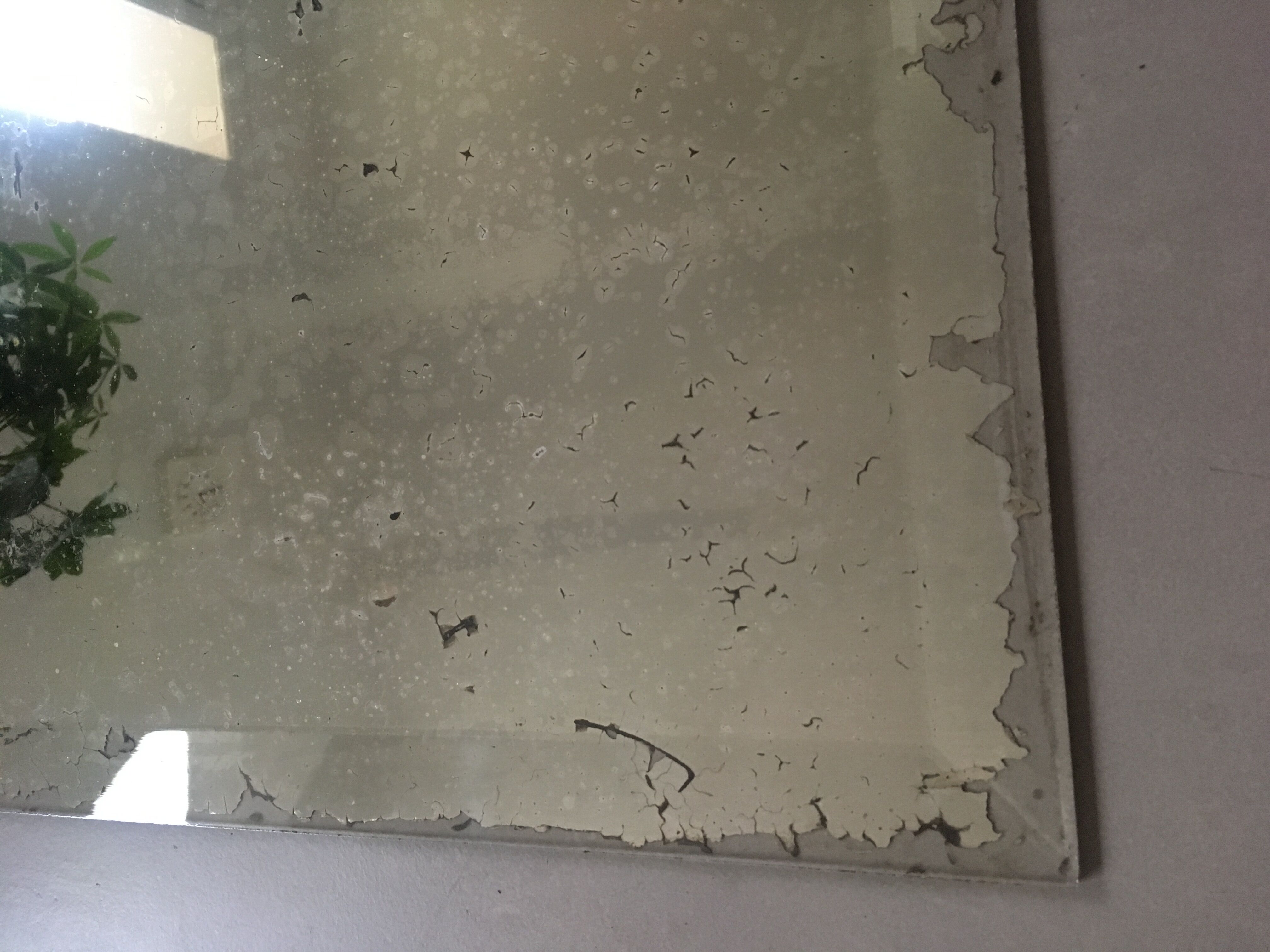 Miroir ancien piqué biseauté 36 x 51 cm