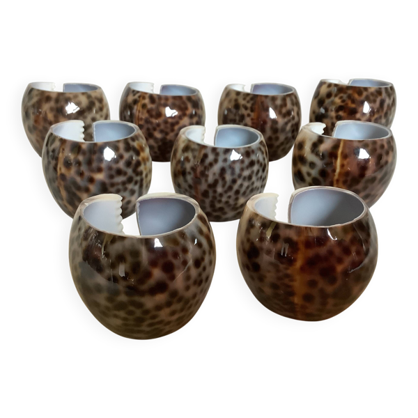 Neuf porte couteaux en coquillages cypraea tigris