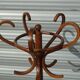 parrot coat rack