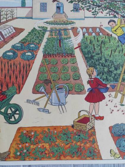 AFFICHE SCOLAIRE ROSSIGNOL CE2 ( N° 31 -32 ) ETAT SUPERBE 75 X 55 CM