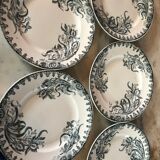 Flat plates earth of iron iris