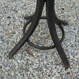 Old parrot coat rack