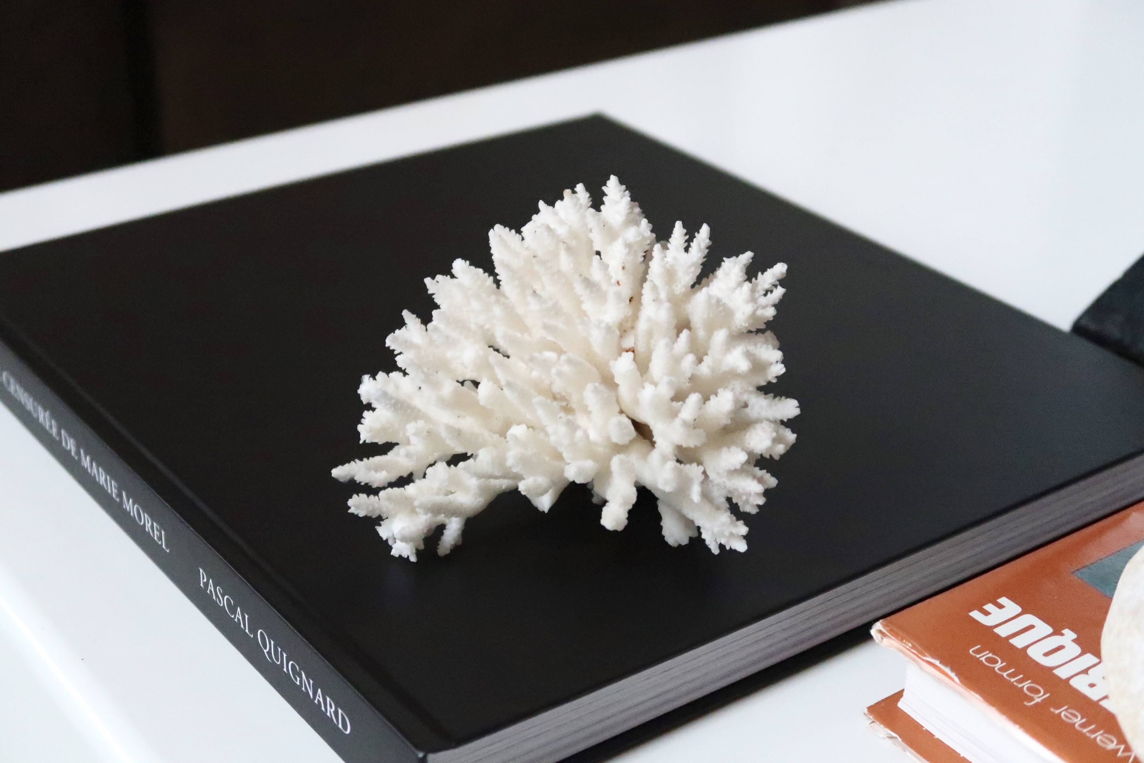 White coral, 70s