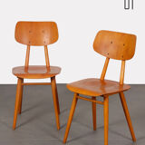 Pair of chairs from Eastern Europe, 1960