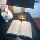 Lampe de banquier
