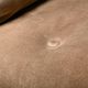 Lounge Chair Suede Leather