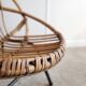 Adult rattan shell chair