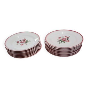 Digoin plates