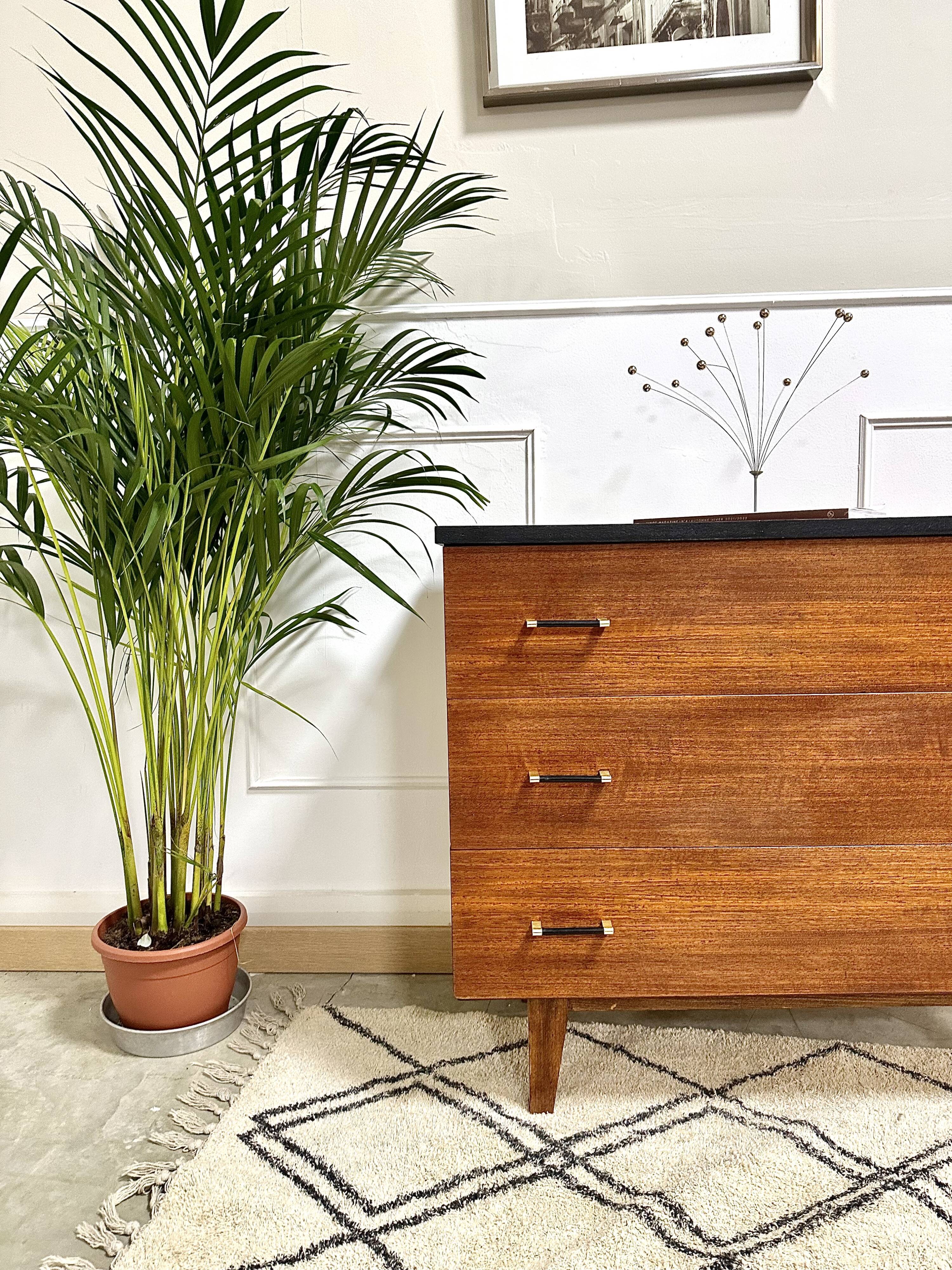 Chest of drawers feet compass black singing