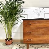 Chest of drawers feet compass black singing