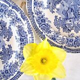 Old Lunéville soup plates