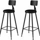 Pair of black bar stools in industrial and contemporary style.