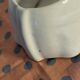 Dog pot holder