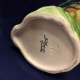 Stun pitcher parrot Saint Clement