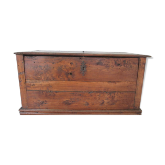 Chest
