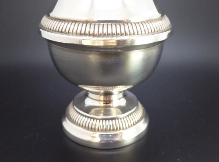 Silver metal sprinkler