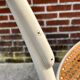 Vintage Thonet no 14 authentic white