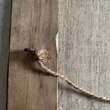 Oils on canvas Brittany