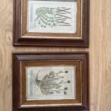 Duo cadre gravure plantes