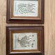 Plant engraving frame duo