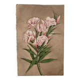 Signed watercolor with oleander flowers