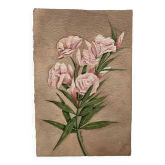 Aquarelle signée aux fleurs de laurier rose