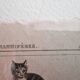 Old print Cats edition Panckoucke