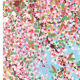 Damien Hirst poster