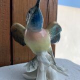 Bird numbered and signed Karl Ens, in Saxon porcelain, nineteenth century