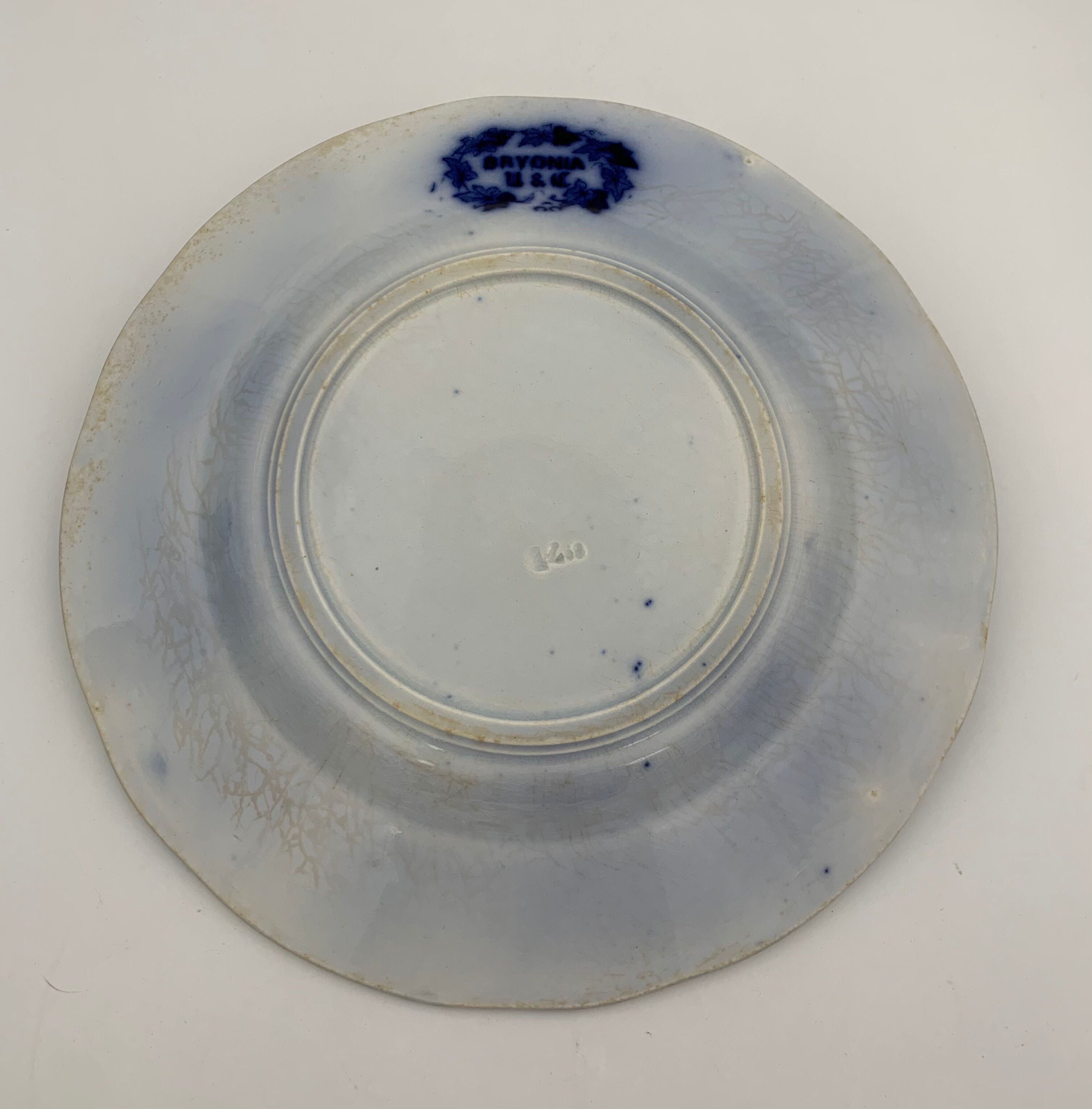 Old earthenware plate SARREGUEMINES, Bryonia model - Late 19th century