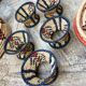 African lidbox and raffia cockroaches
