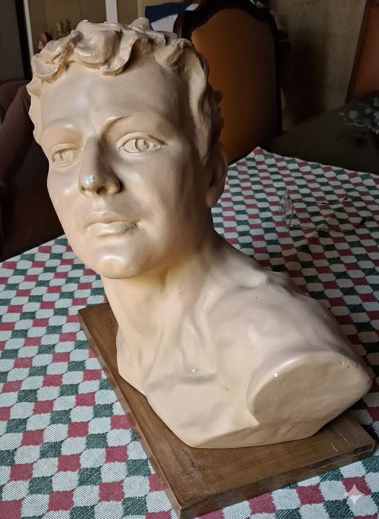 Head of a youth in terracotta