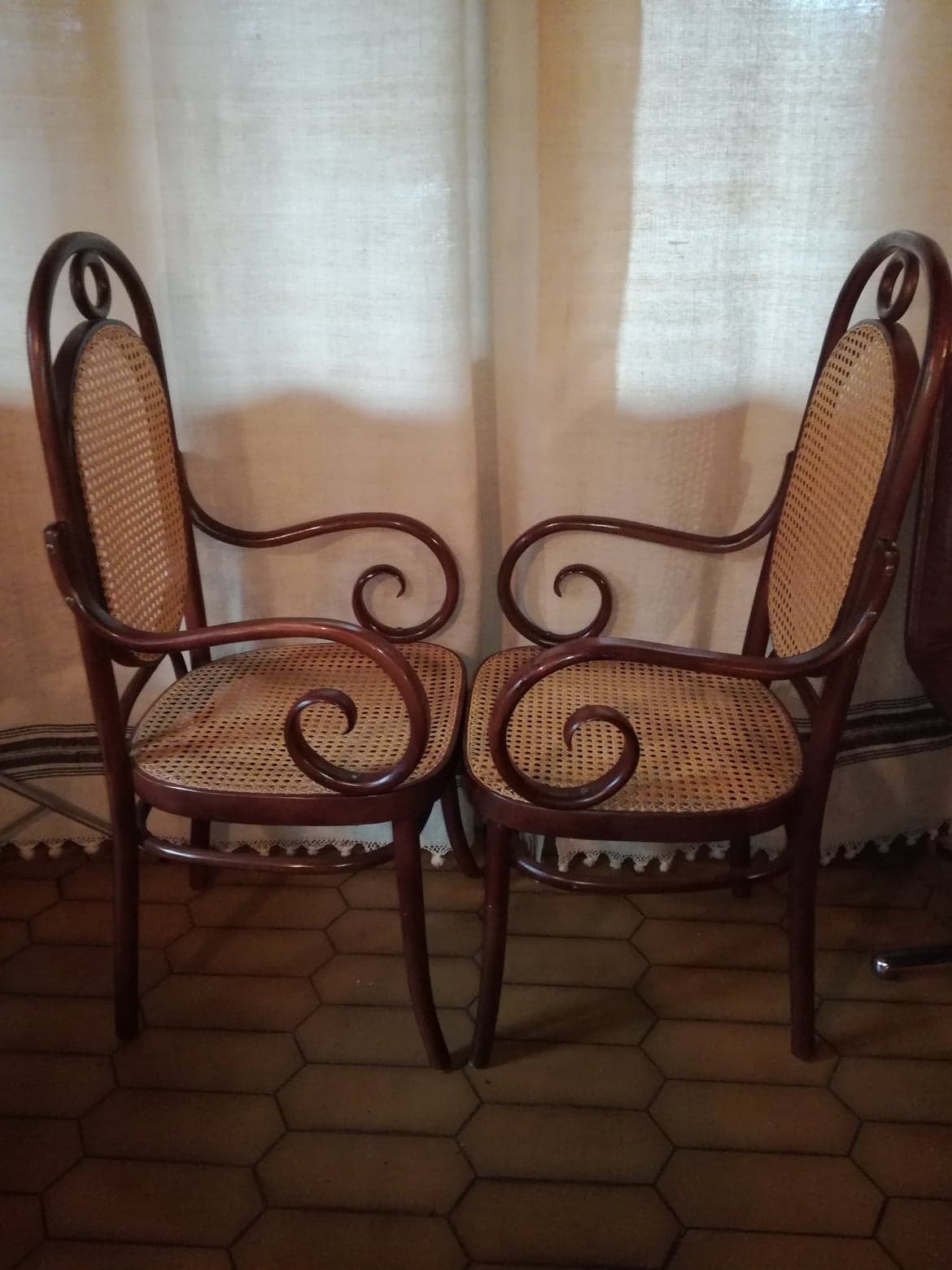 Pair of curved wooden armchairs and caning Thonet N ° 17 or long John 1920