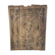 Carved wooden ceiling Curiosity cabinet 155×194cm