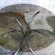 Glass and chrome round table
