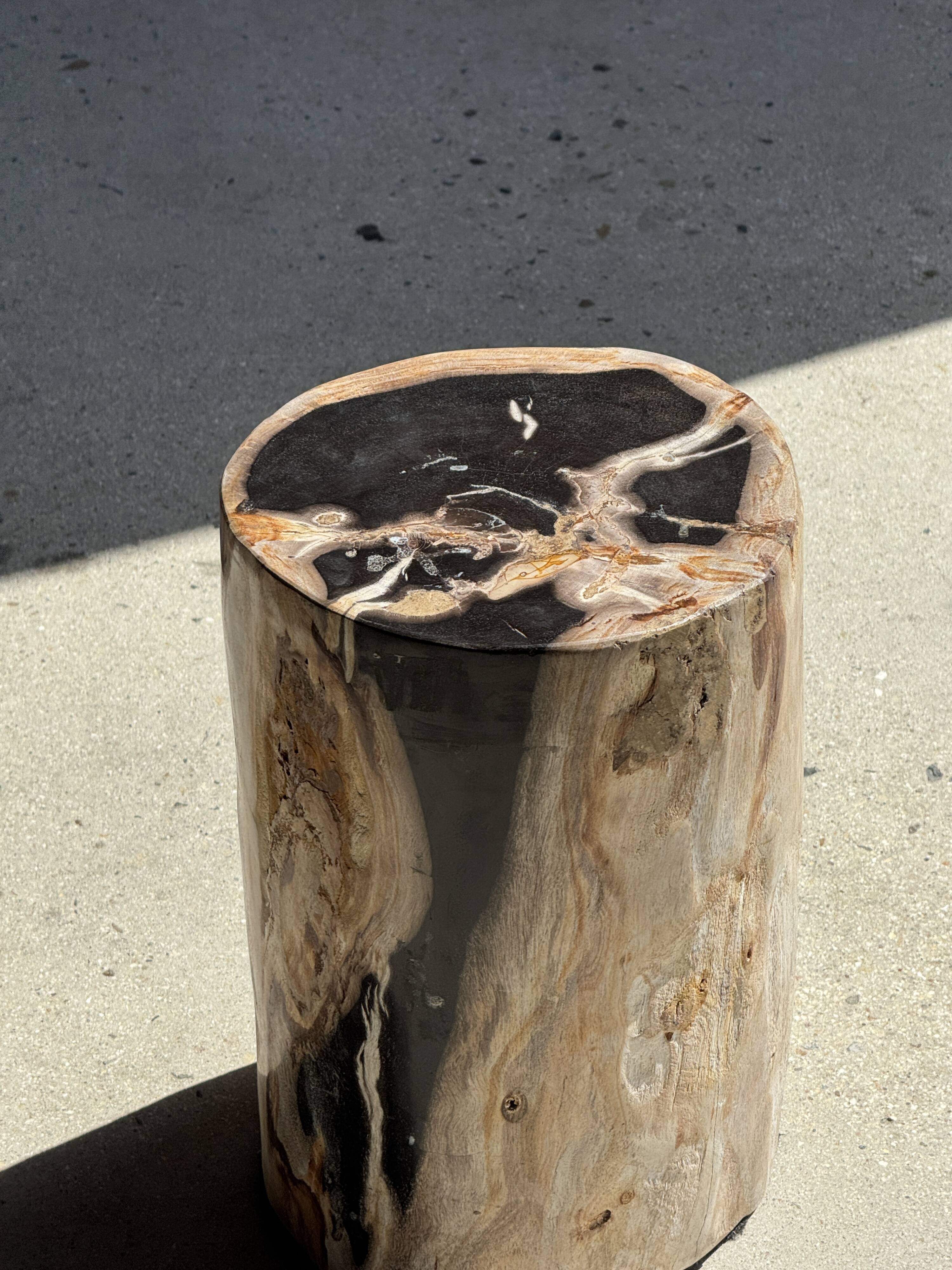 Petrified wood side table, black heart, beige bark, H35 D22 - 3330