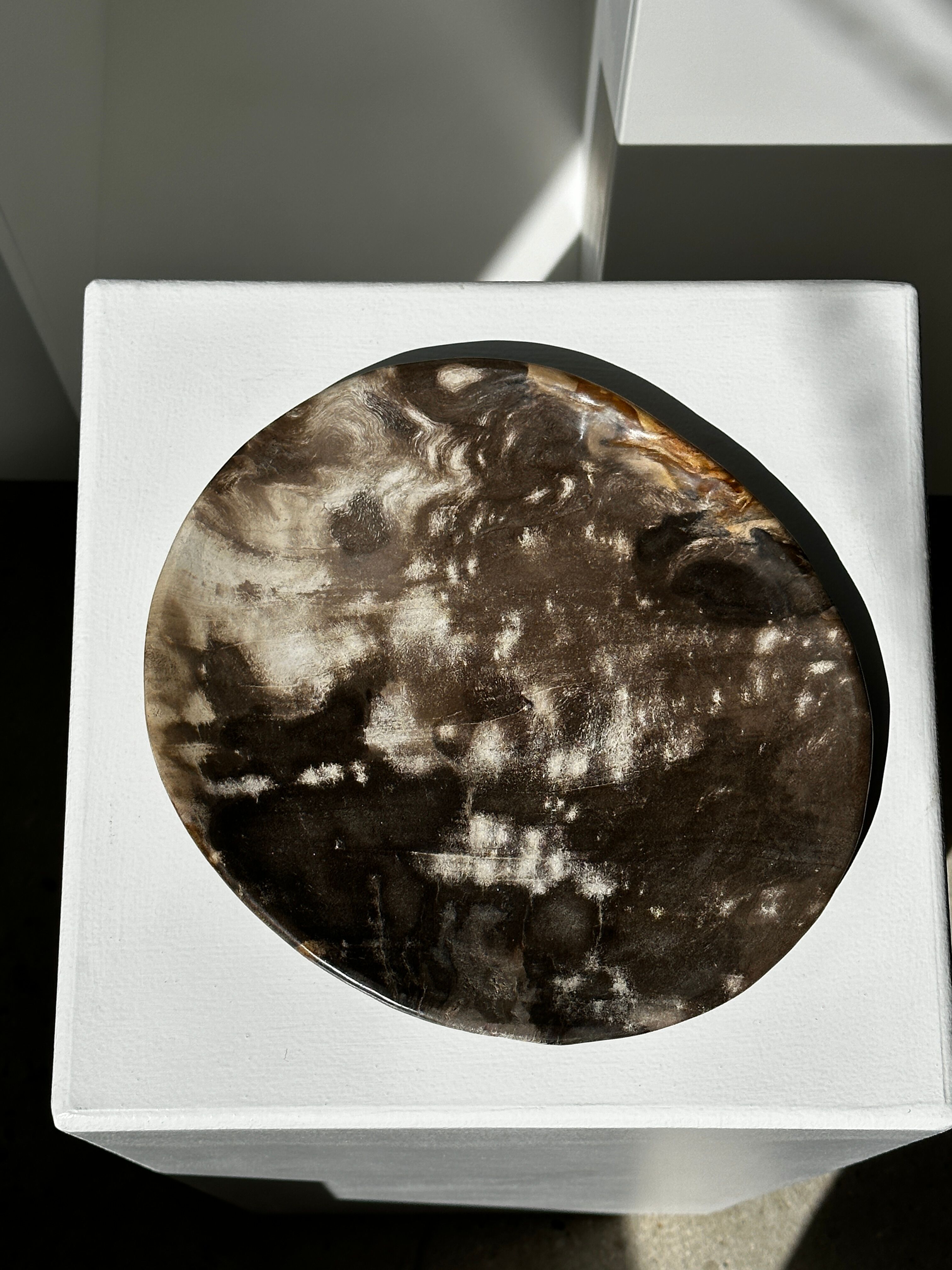 Dish in petrified wood