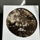 Dish in petrified wood