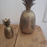 Pineapple buckets duo