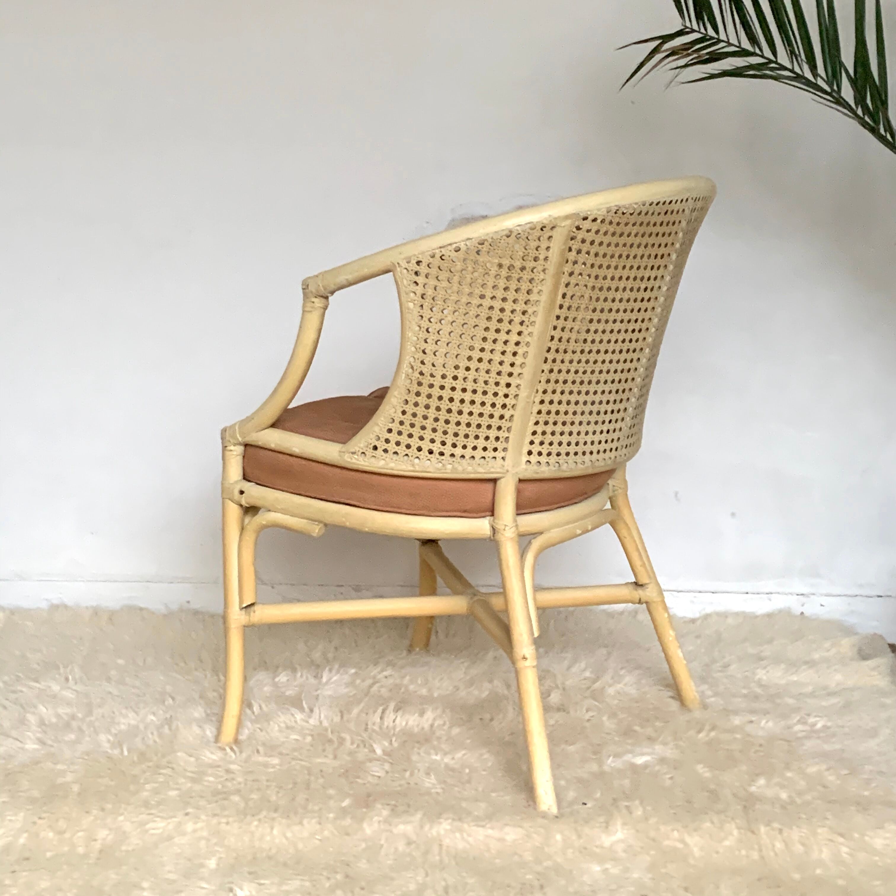 Rattan and canning armchair