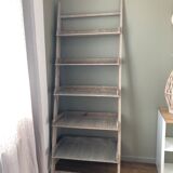 Ladder shelf