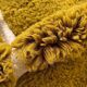 Handmade pure wool rug in green, size 150/250 cm.