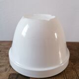 English terrine in earthenware