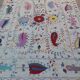White suzani kilim rug with hand embroidered multi-colored patterns