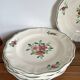 6 dinner plates