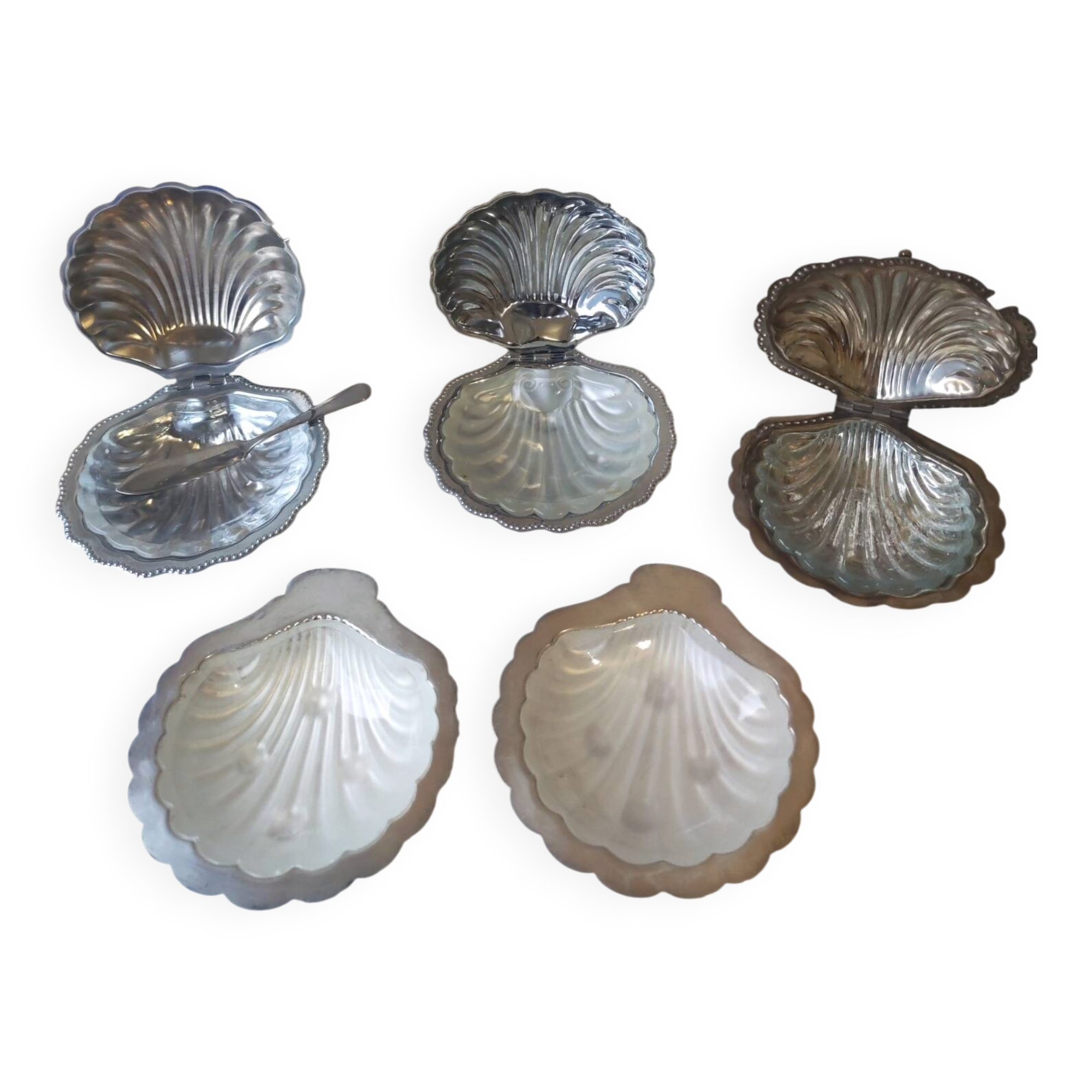 5 scallop butter dishes