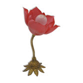Lampe fleur rouge