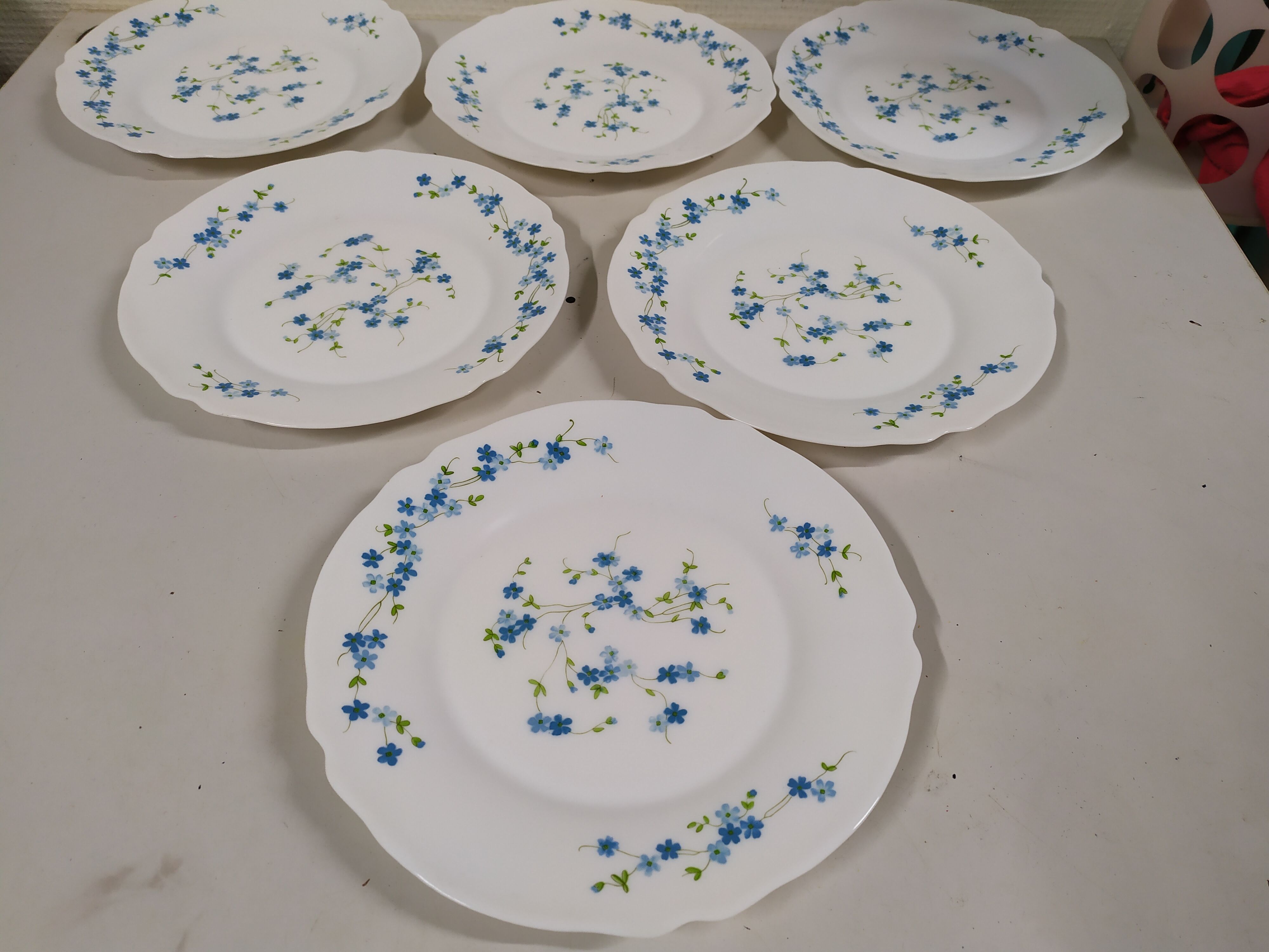 Lot de 6 assiettes plate Arcopal Véronica Myosotis fleur bleu vintage