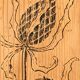 Parisian art deco sideboard in solid raw wood with pyrographed decorations, 1929