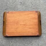 Morpho butterfly wing decor tray